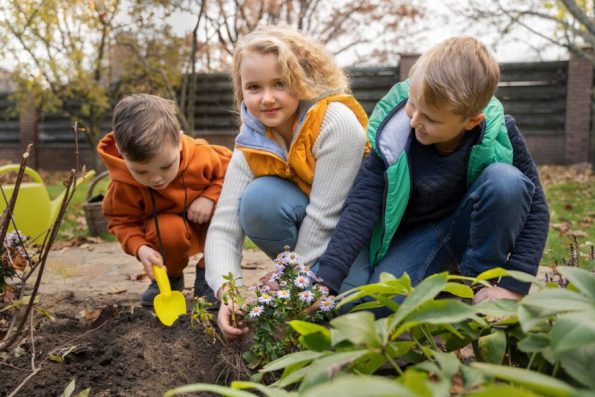 Roys Garden - inspiracje - Najlepsze Rośliny do Twojego Ogrodu Zabaw – Inspiracje dla Rodziców - 02