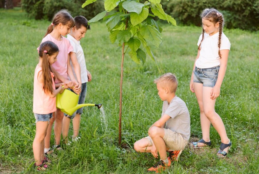 Roys Garden - inspiracje - Najlepsze Rośliny do Twojego Ogrodu Zabaw – Inspiracje dla Rodziców - 03